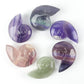 Fluorite Snail Shell Carving Wholesale Crystals