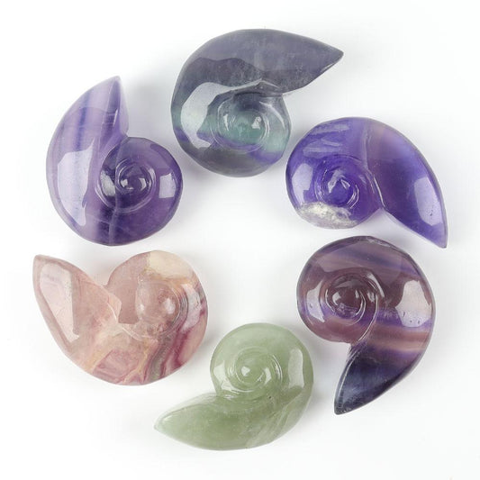 Fluorite Snail Shell Carving Wholesale Crystals