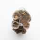Resin Dog Figurines with Tiger Eye Gravel Toy Poodle for Kids Gifts Wholesale Crystals